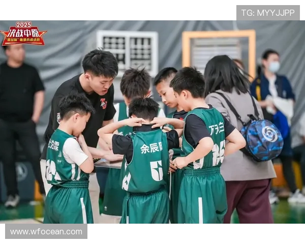 以篮球为纽带探索团队合作与青春拼搏的无限可能