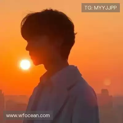 蓬财蓬