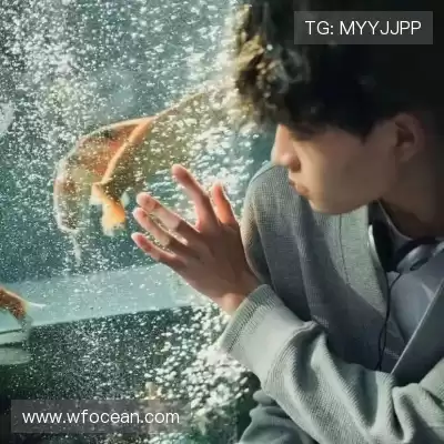 尤诗彩